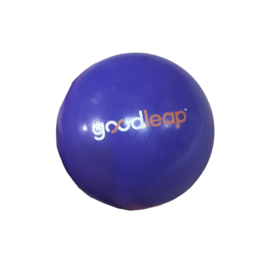 GoodLeap Purple Stress Ball